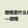 增根是什么意思 一个容易忽略的数学名词——增根 增根是什么意思 一个容易忽略的数学名词——增根