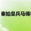 秦始皇兵马俑在哪里? 西安兵马俑在什么地方