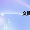 文胸怎么样(一片式文胸)