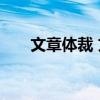 文章体裁 文学体裁和文章体裁的区分