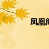 凤凰阁音画 凤凰阁上瞰莱山