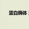蛋白酶体 蛋白酶体抑制剂的作用机制