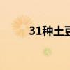 31种土豆常见做法(如何吃好土豆)