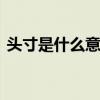 头寸是什么意思 市场中所说的头寸如何解释