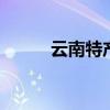 云南特产有哪些 云南省十大特产