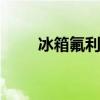 冰箱氟利昂 上门给冰箱加氟多少钱