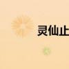 灵仙止痛酒 巧用威灵仙泡白酒