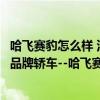 哈飞赛豹怎么样 浅谈一款整体表现不错却被市场淘汰的自主品牌轿车--哈飞赛豹 哈飞赛豹怎么样 浅谈一款整体表现不错却被市场淘汰的自主品牌轿车--哈飞赛豹
