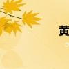 黄觉妻子 黄觉和麦子 黄觉妻子 黄觉和麦子