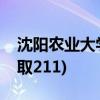 沈阳农业大学怎么样(沈阳农业大学为啥没争取211)
