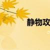 静物攻略 超实用静物摄影攻略
