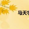 马天宇博客 马天宇语录优质