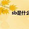 sb是什么元素符号(sb有多大意义) sb是什么元素符号(sb有多大意义)