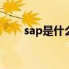 sap是什么意思 什么是SAP体系呢？