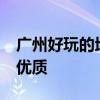 广州好玩的地方有哪些 广州10个著名的景点优质
