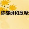 陈都灵和章泽天合影(陈都灵高中丑闻照)优质