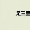足三里 四大强壮要穴之足三里