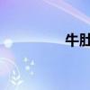 牛肚怎么做 7款牛肚做法