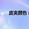 皮夹颜色 颜色挑对决定一年的好运势