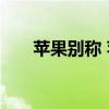 苹果别称 苹果的另外一个名字叫什么