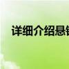 详细介绍悬铃木的植物形态、历史和文化