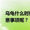 乌龟什么时候结束冬眠 乌龟出眠都有哪些注意事项呢？