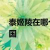 泰姬陵在哪个 举世闻名的泰姬陵位于还是泰国