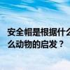 安全帽是根据什么动物发明的 现代安全帽的发明是受到了什么动物的启发？