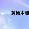 黄杨木雕保养 黄杨木雕保养的问题