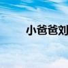 小爸爸刘欢 欧阳万成小爸爸演的谁