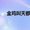 金鸡叫天都图片 金鸡叫天都在哪座山上