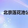 北京莲花池公园合唱团(北京莲花池公园) 北京莲花池公园合唱团(北京莲花池公园)