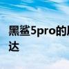 黑鲨5pro的屏幕怎么样 黑鲨5Pro采用什么马达 