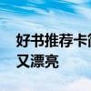 好书推荐卡简单又漂亮 推荐书目手抄报简单又漂亮