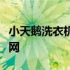 小天鹅洗衣机售后服务内容介绍小天鹅洗衣机网