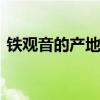 铁观音的产地在哪 哪里出产的铁观音茶叶好