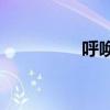 呼唤生命(呼唤生命构成) 呼唤生命(呼唤生命构成)