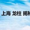 上海 龙柱 揭秘上海延安高架神秘的龙柱事件