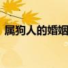 属狗人的婚姻与命运 属狗的属相婚配表大全