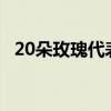 20朵玫瑰代表什么 玫瑰花朵数代表的含义