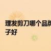 理发剪刀哪个品牌比较好 谁可以告诉我专业理发剪刀什么牌子好 