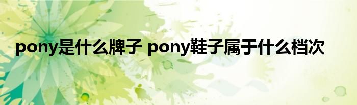 pony是什么牌子 pony鞋子属于什么档次