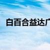 白百合益达广告全版(白百合内衣广告视频)