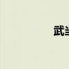 武当太极剑 杨氏太极刀