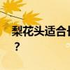 梨花头适合长脸型吗 长脸女生适合什么发型？