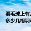 羽毛球上有几根羽毛 一只羽毛球上通常会有多少几根羽毛