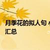 月季花的拟人句 小学生作文常用拟人、比喻、排比、夸张句汇总