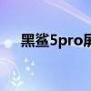 黑鲨5pro屏幕是哪家的 黑鲨5Pro多重 