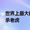 世界上最大的水蚺是什么？ 水蚺能够轻易猎杀老虎