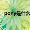 pony是什么牌子 pony鞋子属于什么档次